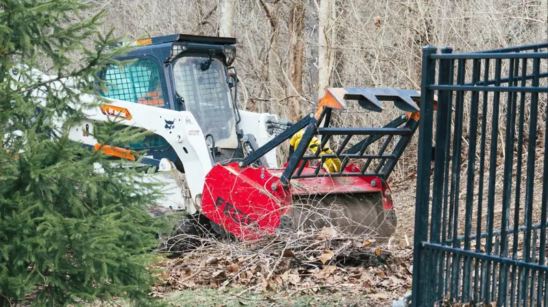 Fence Line Clearing