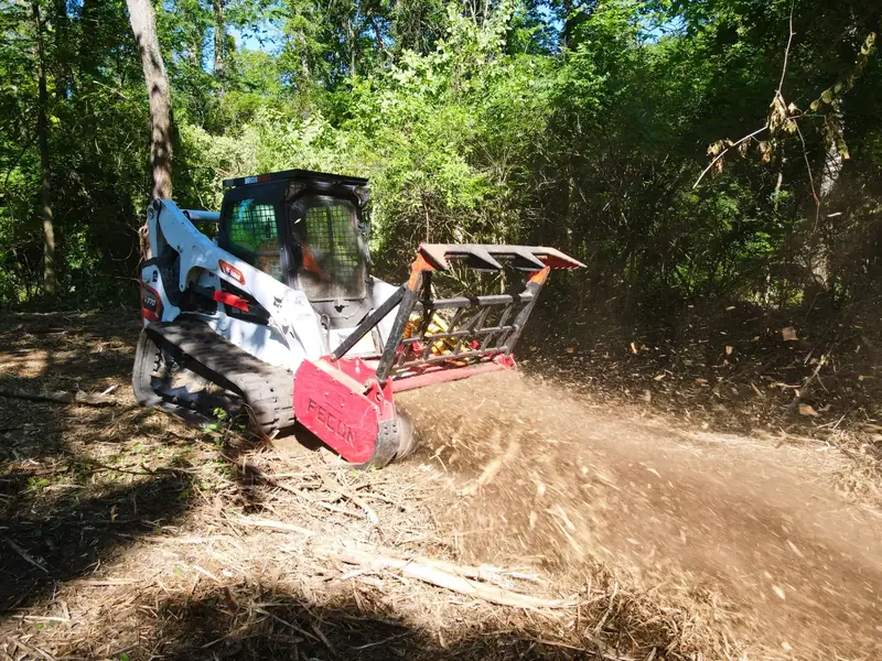 Invasive Growth Removal