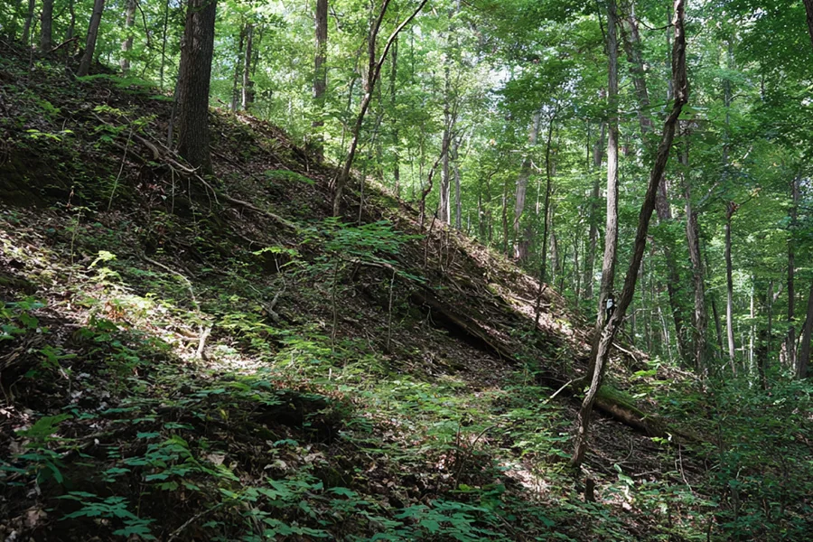 Steep / Difficult