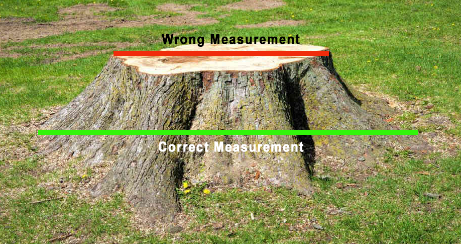 How to measure a stump for grinding - measure the diameter at ground level