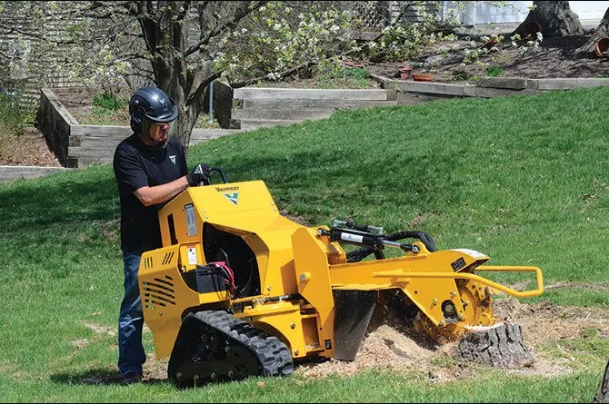 Professional stump grinding service