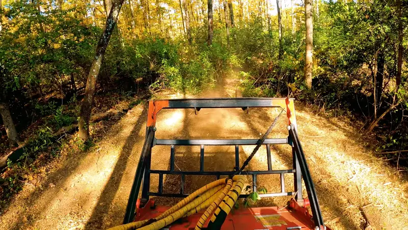 Land clearing in Marion, NC